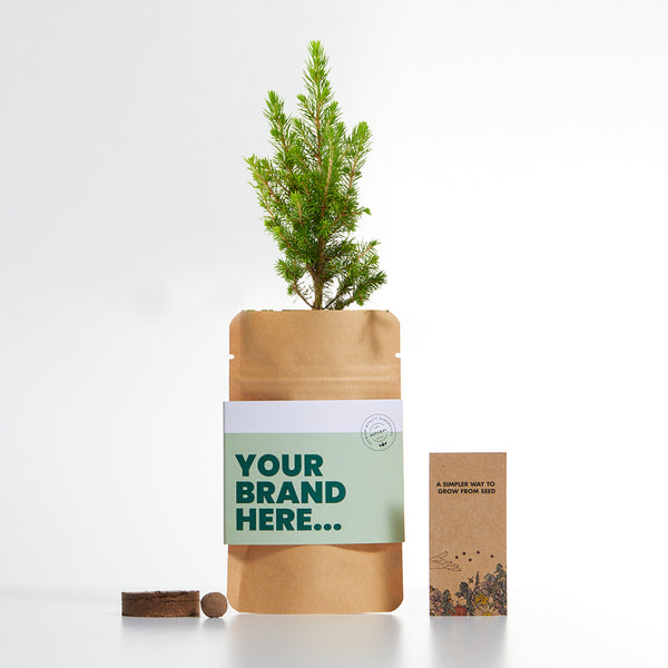 Grow Your Own Christmas Tree Pouch